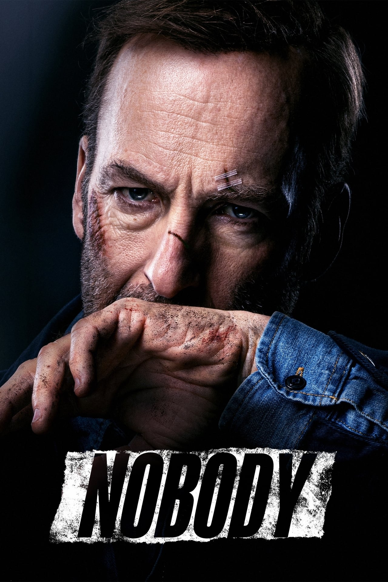 Nobody 2021 Dual Audio (Hindi-English) Download  BluRay