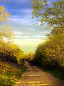 road country trees summer 46023 225x300