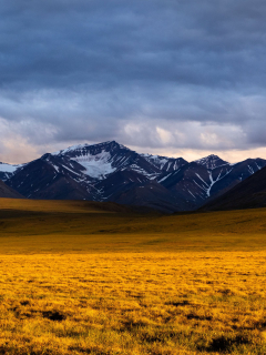 beautiful-yellow-grass-field-with-sunrays-landscape-view bG1tammUmZqaraWkpJRnaWWtaGdl