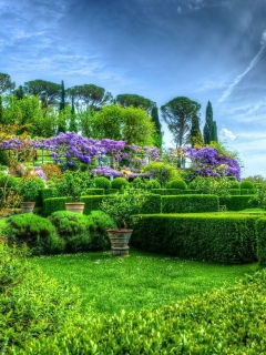 garden-shrubs-flowers Zmtpam6UmZqaraWkpJRnaWWtaGdl