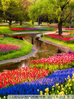 beautiful spring garden-wallpaper-240x320