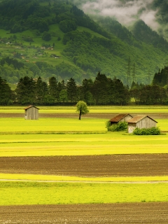 meadow-grass-trees ZmppbWqUmZqaraWkpJRnaWWtaGdl