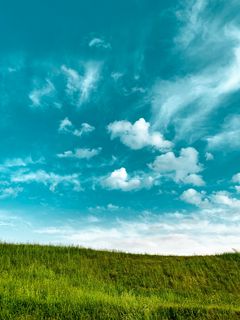 grass sky clouds 174479 240x320